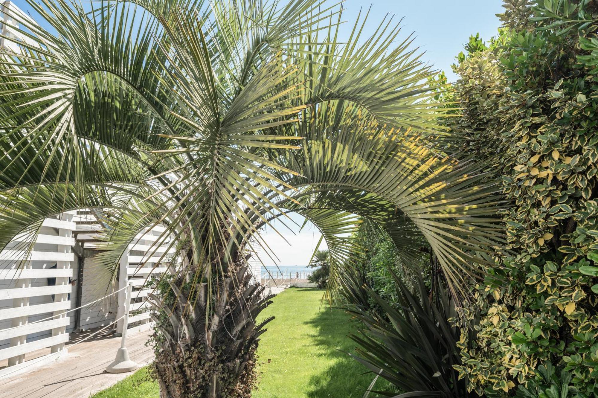 Terme Beach Resort Punta Marina Buitenkant foto