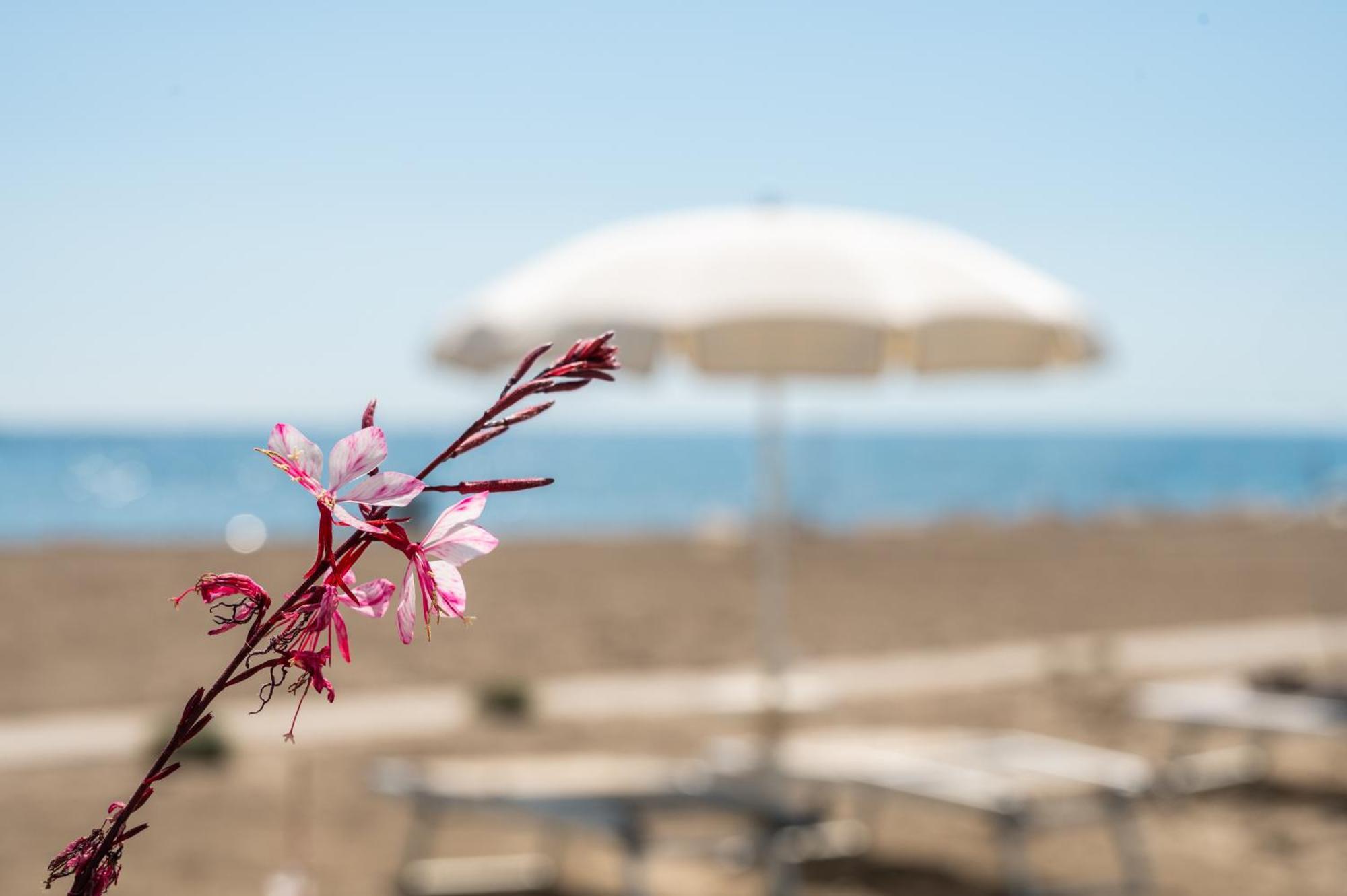 Terme Beach Resort Punta Marina Buitenkant foto